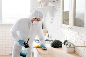 DIY Pest Control