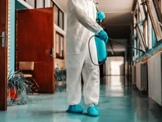 blog pest control