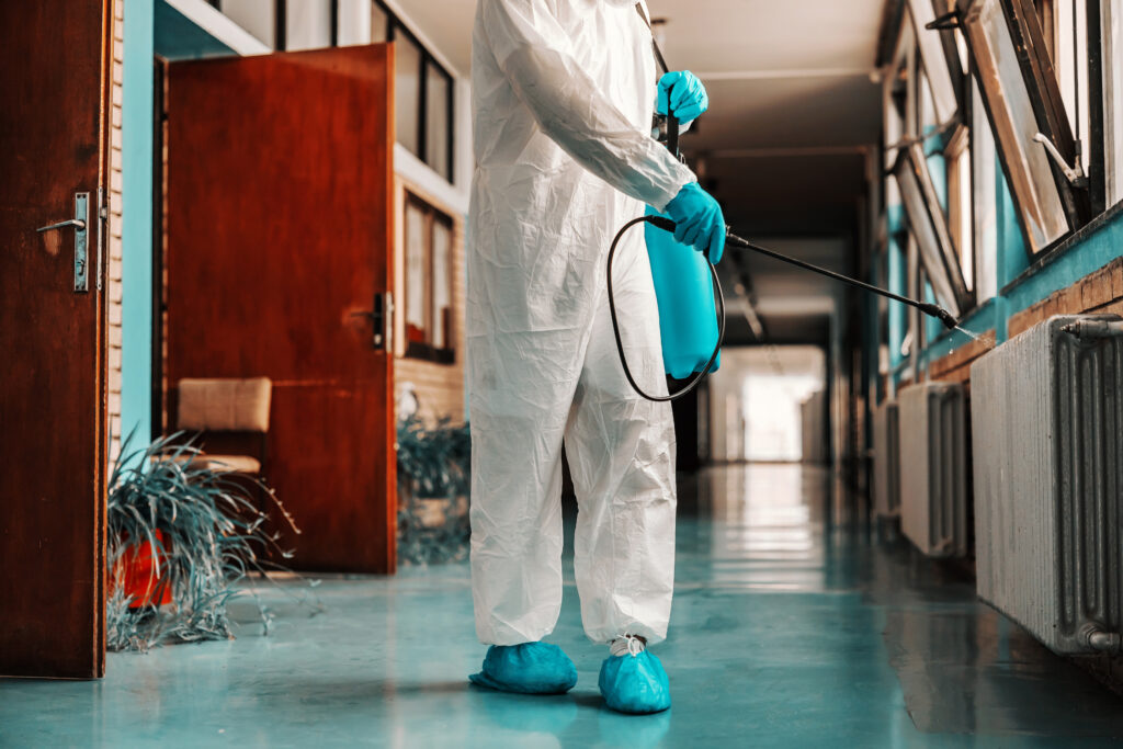 DIY Pest Control vs. Professional Services: What Works Best?