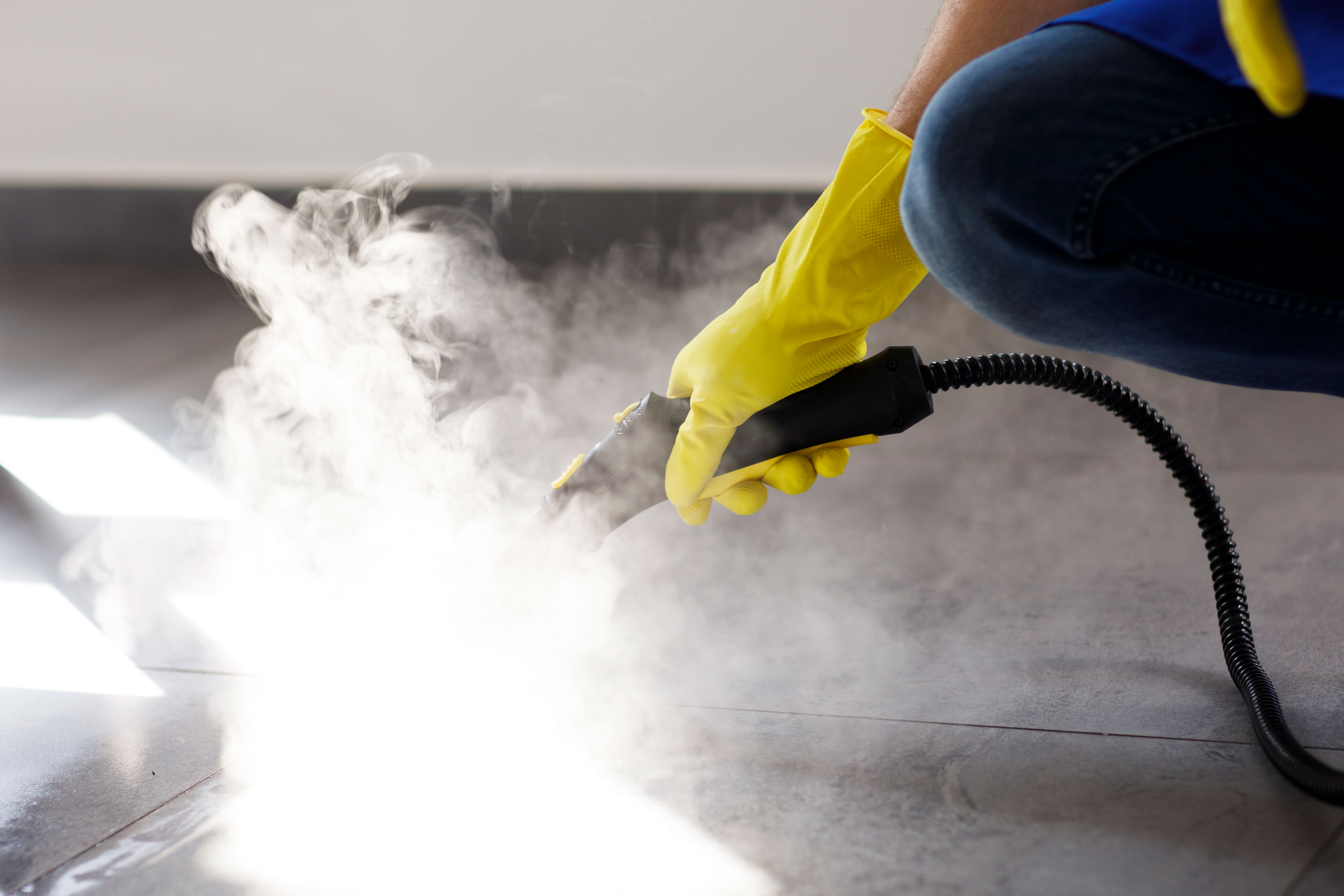 Steam Deep Cleaning
