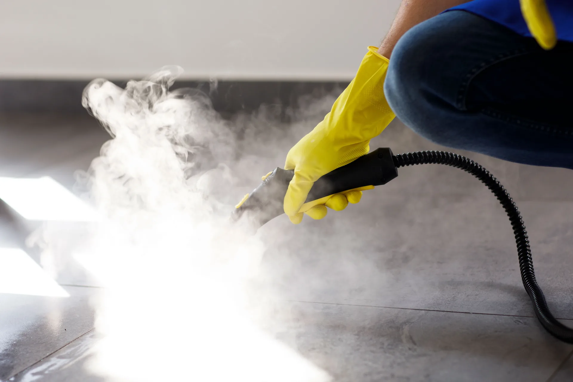 Steam Deep Cleaning